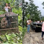 Inside the 48-Hour Hunt for Sikkim’s Resident Leopard